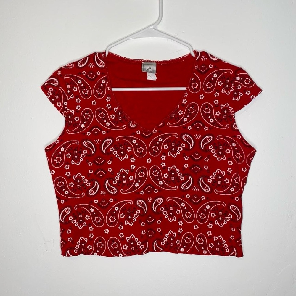 Finesse Red Paisley Crop Top